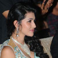 Anjali Lavania - Panja Audio Release - Pictures | Picture 128248